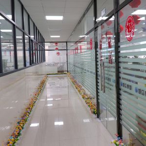 2021小黄片下载链接的新办公区